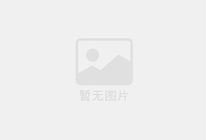 大扭矩离合器